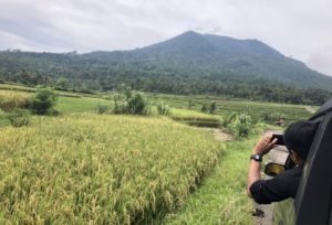 wisata gunung pulosari pandeglang