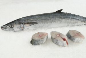 ikan king makerel