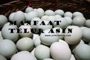 Urmilamile - Telur Asin Khas Indonesia