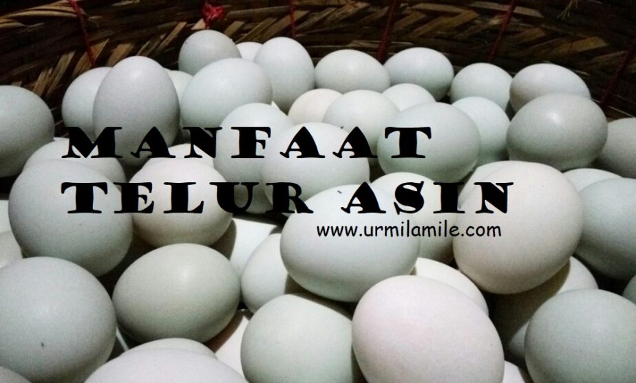 Urmilamile - Telur Asin Khas Indonesia