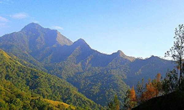 Jalur Pendakian Gunung Wilis