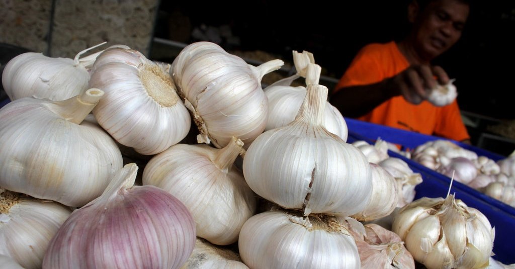 Manfaat Bawang Putih Tunggal