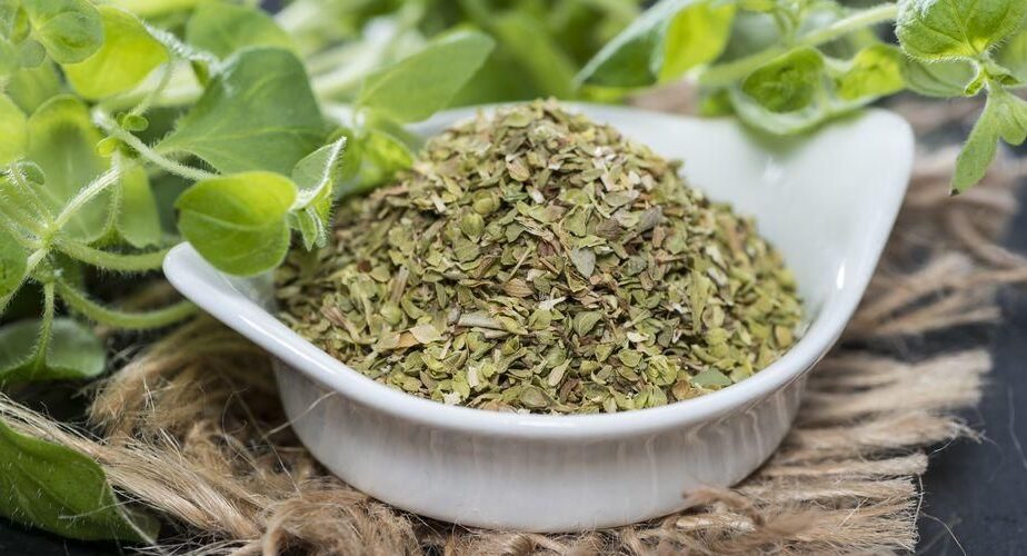 cara mengolah daun oregano