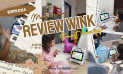 Review Wink Smart Learning