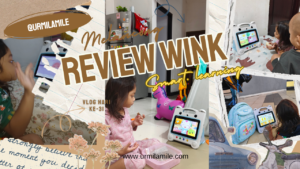Review Wink Smart Learning