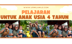Pelajaran untuk Anak Usia 4 Tahun